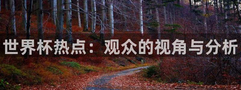 女足世界杯赛程:世界杯热点:观众的视角与分析