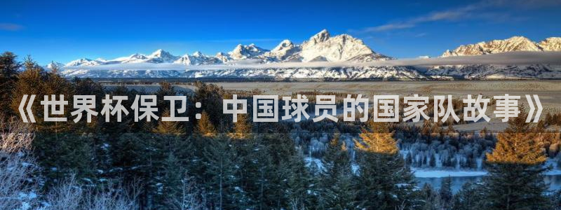 女足世界杯赛程:《世界杯保卫:中国球员的国家队故事》