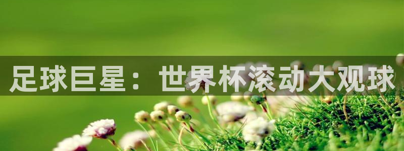 2026世界杯中国队:足球巨星:世界杯滚动大观球