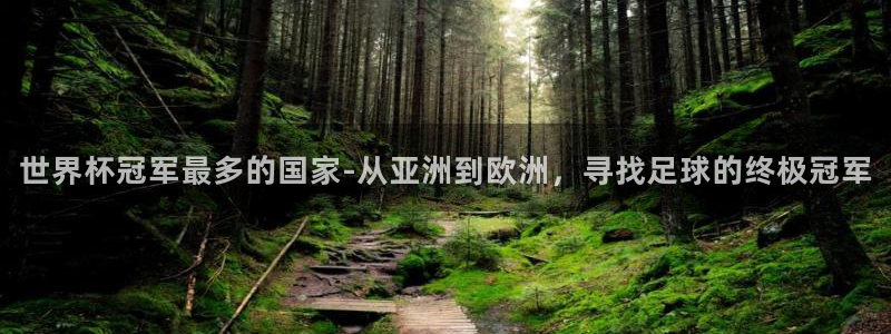 世界杯赛程表:世界杯冠军最多的国家-从亚洲到欧洲,寻找足球的终极冠军
