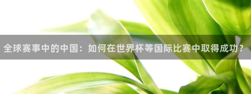 美国世界杯:全球赛事中的中国:如何在世界杯等国际比赛中取得成功?