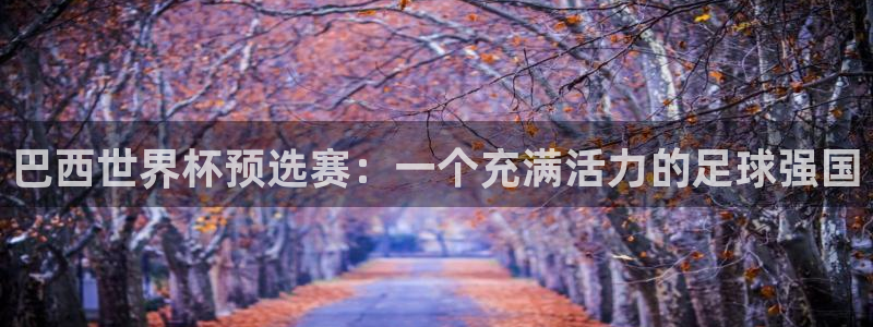 世界杯预选赛亚洲:巴西世界杯预选赛:一个充满活力的足球强国