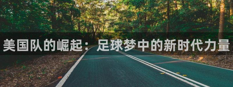 世界杯决赛直播:美国队的崛起:足球梦中的新时代力量