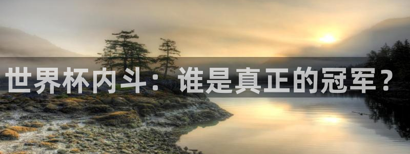世界杯足球赛:世界杯内斗:谁是真正的冠军?